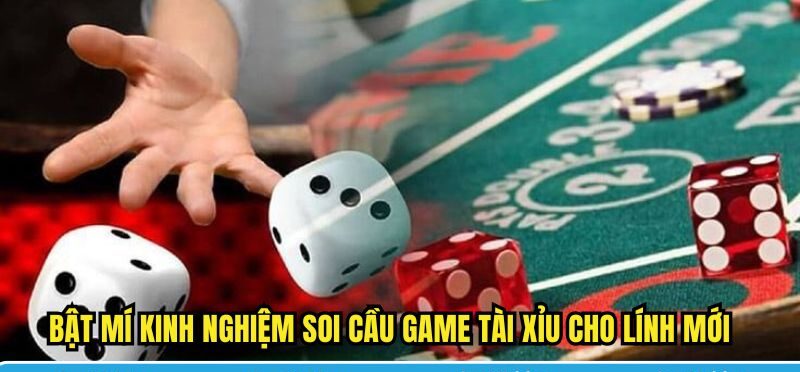 Kinh nghiệm soi cầu game tài xỉu cho lính mới